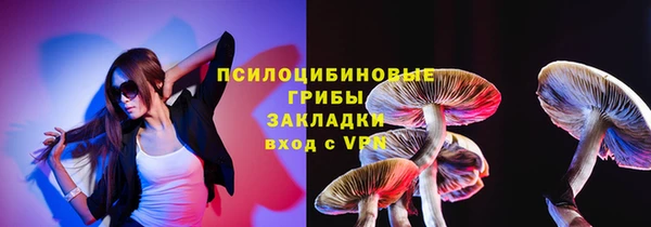 spice Абаза