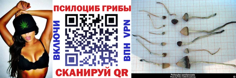 кракен зеркало  Азнакаево  Галлюциногенные грибы Cubensis  цены  